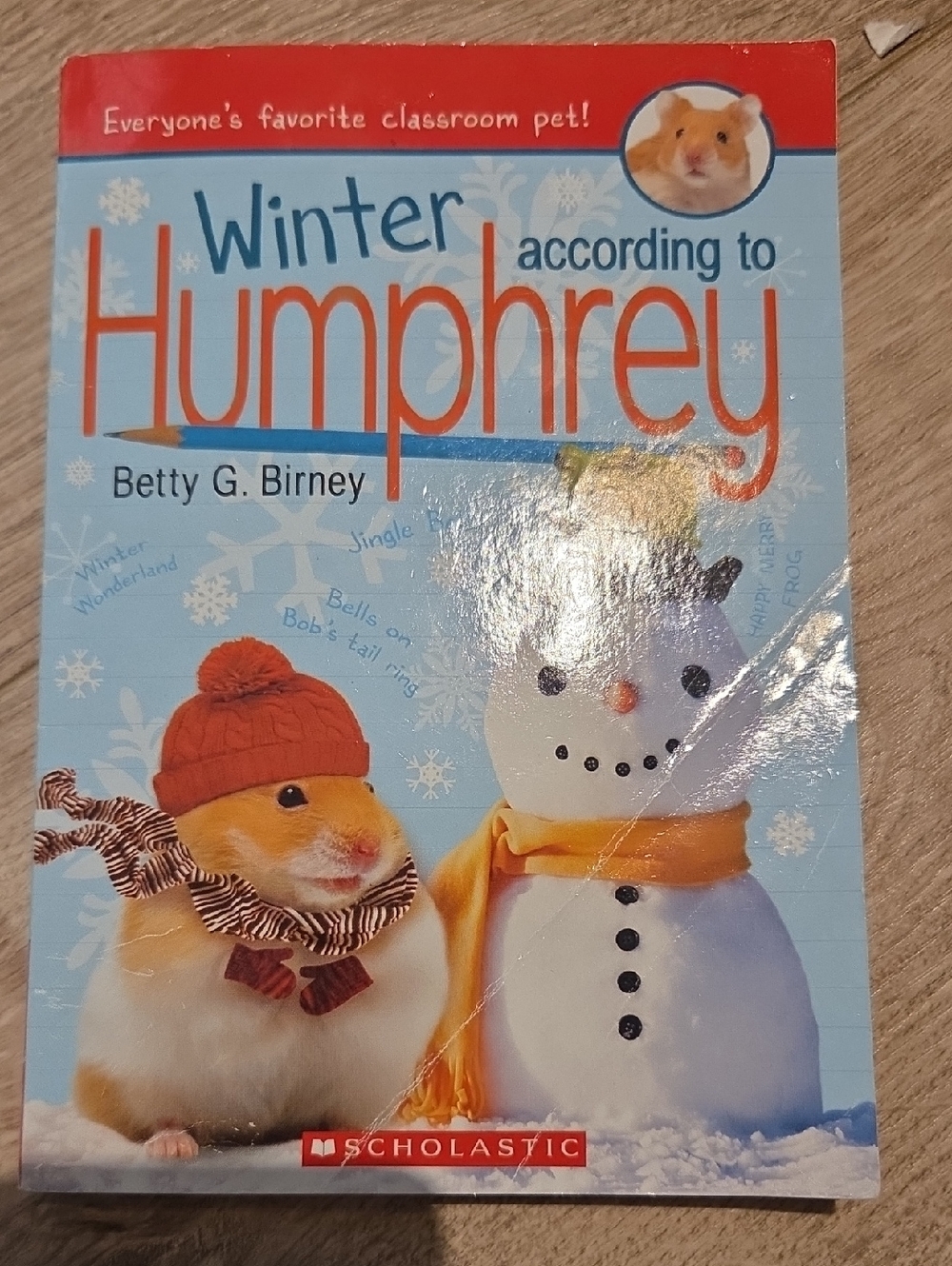 Scholastic Children's Book — Light Blue, Orange, White Cover